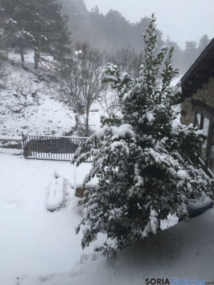 Nieve en Pinares