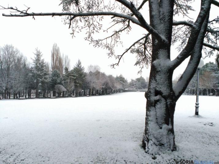 Parque de la Dehesa de Soria, esta mañana