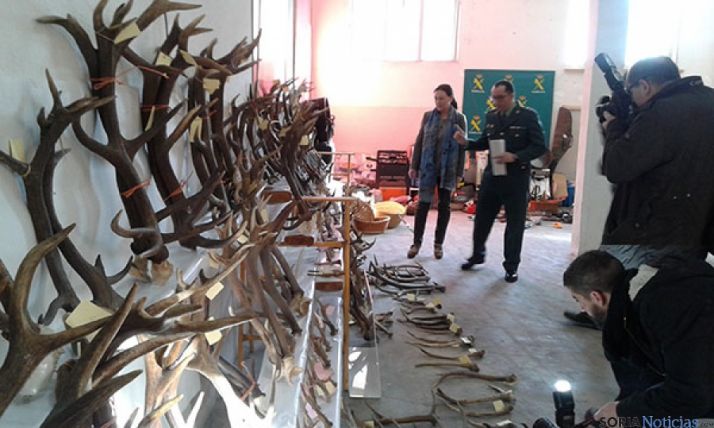 Detienen a cuatro vecinos de Soria que podrían ser los autores de medio centenar de robos en la provincia