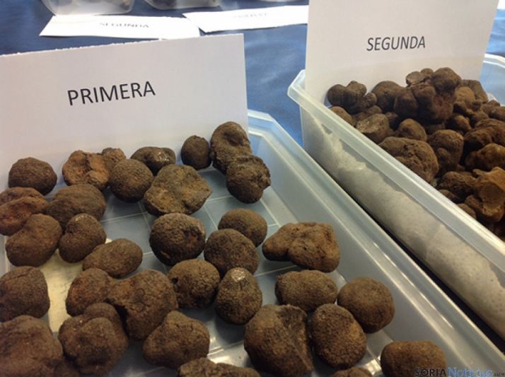 La trufa es un producto gastronómico en alza