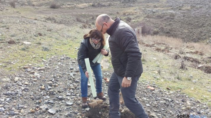 Los del 65 de Ágreda aportan al Bosque de los Quintos