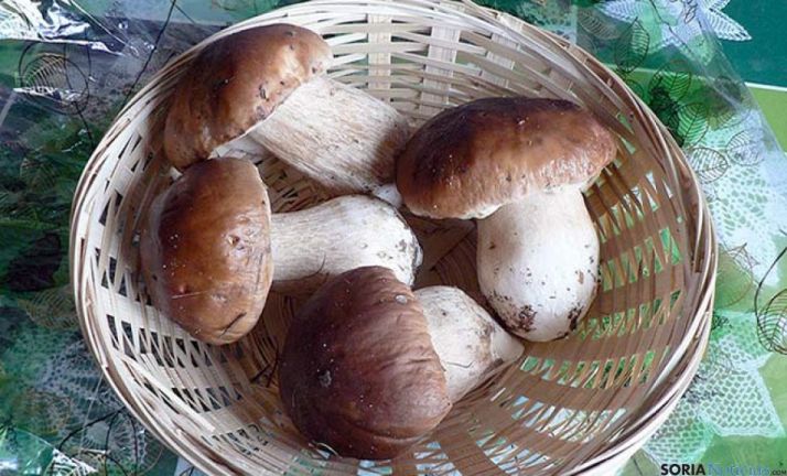 Migueles, de Pinar Grande.