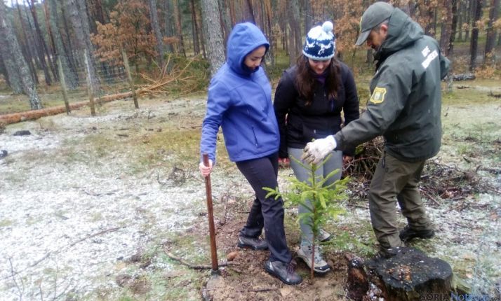 Plantación este sábado en El Amogable.