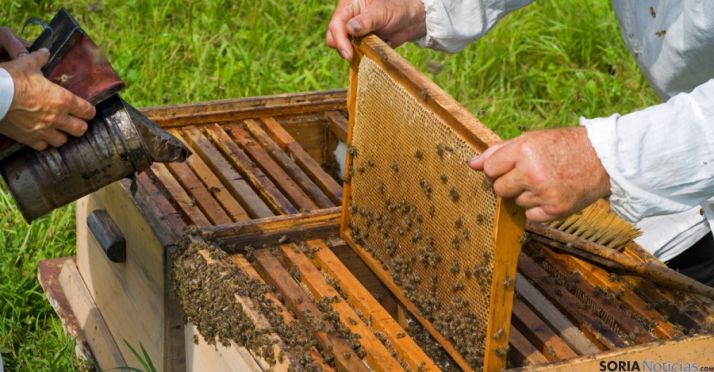 Una imagen de labores apícolas./SN