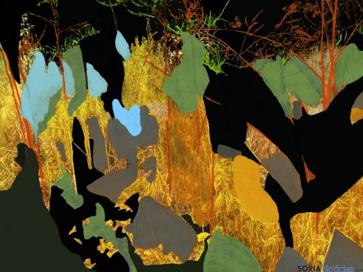 Una de las obras, de Sofia Bauchwitz.