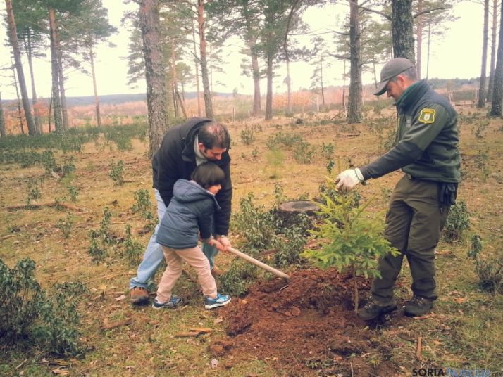 El tiempo ha permitido la celebración del Día del Árbol