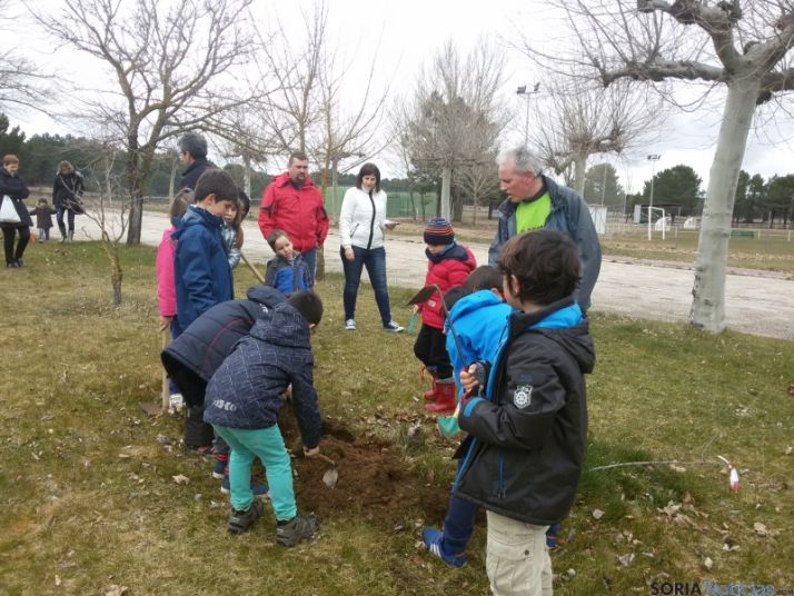 Plantación de árboles en Tardelcuende