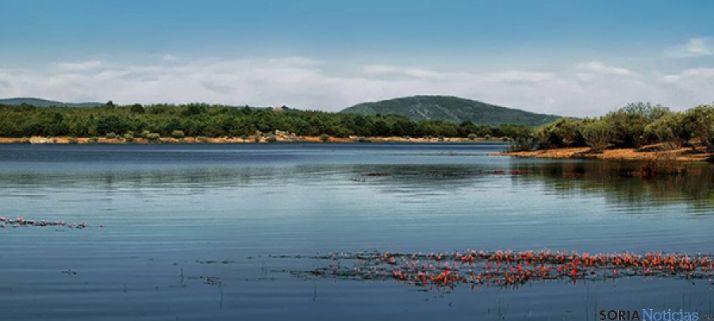 Imagen del embalse pinariego. / SN