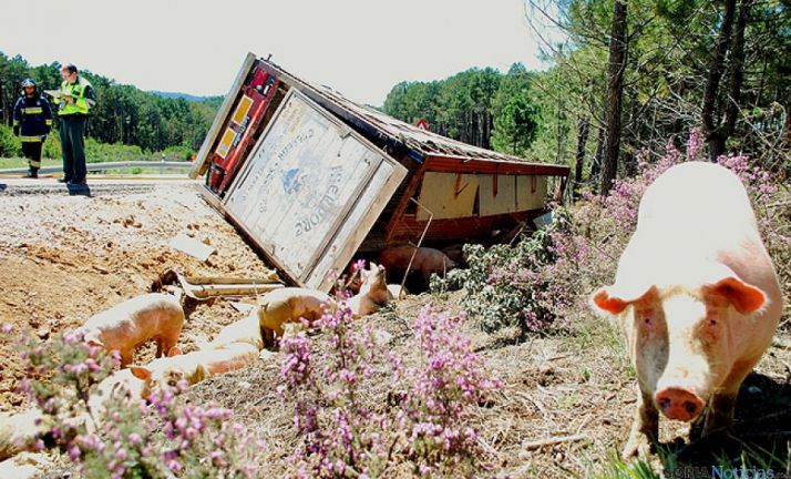La partida presupuestaria es de 950.000 €. / SN