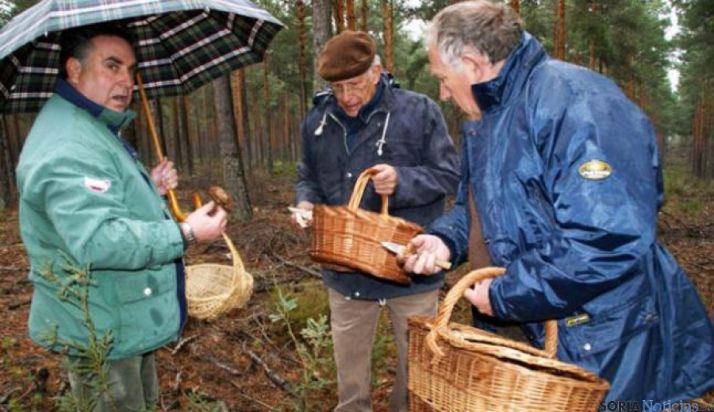 Recolectores micológicos en Castilla y León.