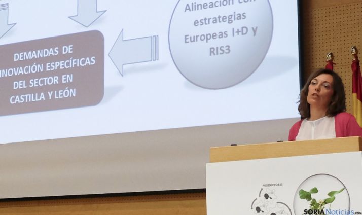 La consejera Milagros Marcos, en la presentación del proyecto. / Jta.