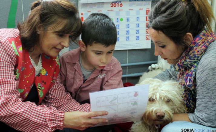 Lola estará medio año con los alumnos. / Jta.