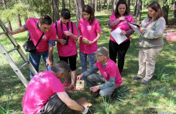 Preparación de nidos en El Amogable. /Junta