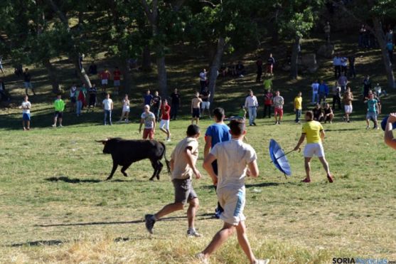 Suelta de novillos en La Compra. /Archivo