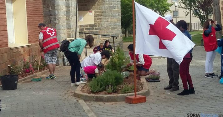 Imagen de las labores./Ainalb Alomar