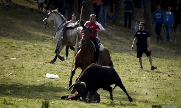 El caballo herido y el novillo con un mozo tendido en el suelo tras la cogida. / SN