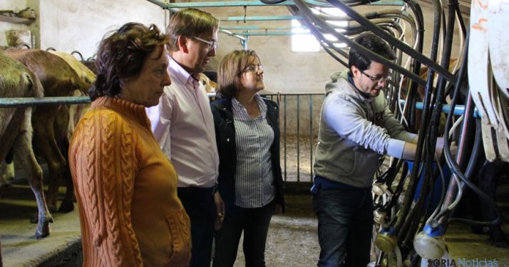 Visita de los populares a una explotación de Suellacabras.