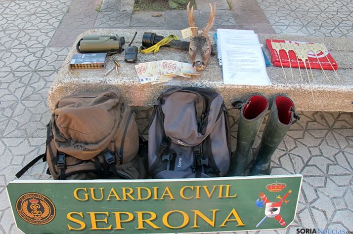 Munición, dinero en metálico y un trofeo incautado en la operación. / Subdelg.