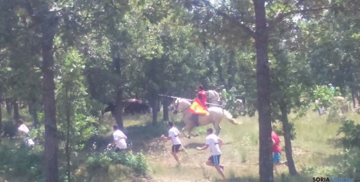 Caballistas y novillos por El Pinarcillo