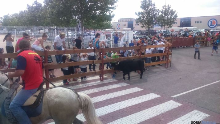 Novillos en la zona industrial