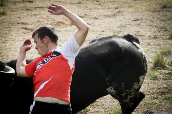 La Compra 20016./ María Ferrer