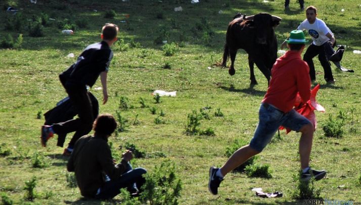 Un novillo y mozos en Valonsadero./SN