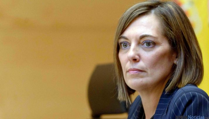 La consejera de Agricultura y Ganadería, Milagros Marcos. / Jta.