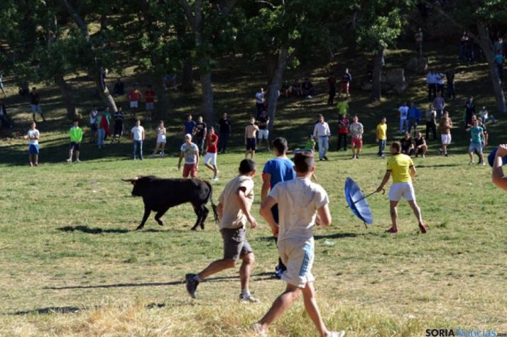 Suelta de novillos en La Compra. /Archivo
