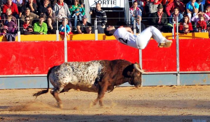 Espectáculo taurino en Ágreda. / SN