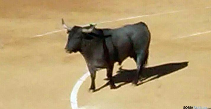 El toro cornipaso devuelto el Sábado Agés./SN