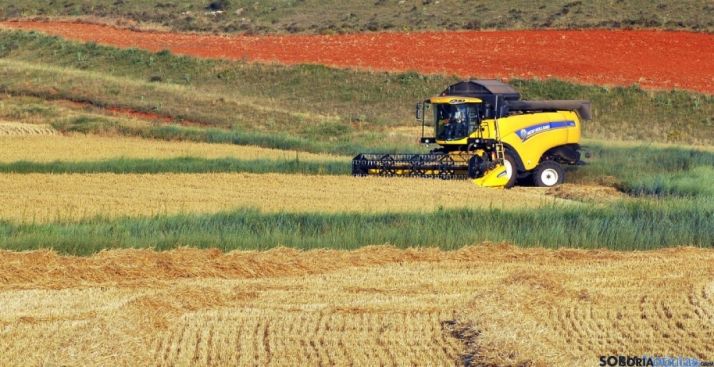 Una cosechadora en una imagen de archivo. / SN