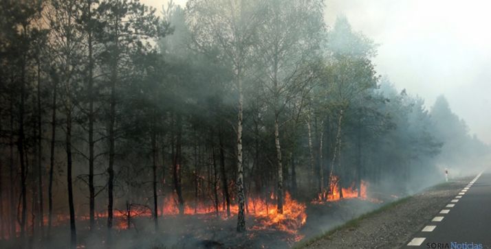 Un pinar ardiendo en una imagen de archivo. / SN