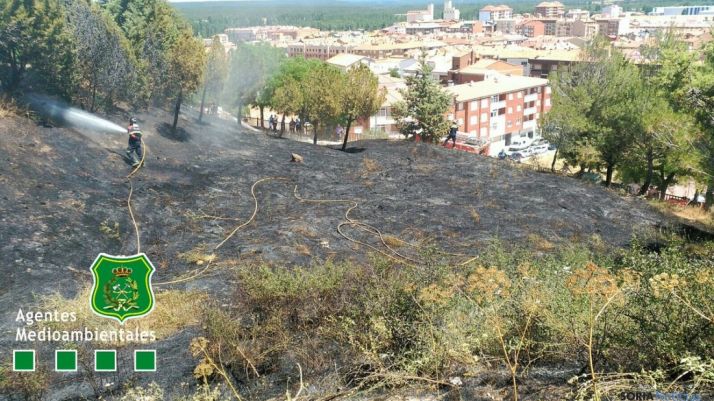 El terreno quemado este martes.