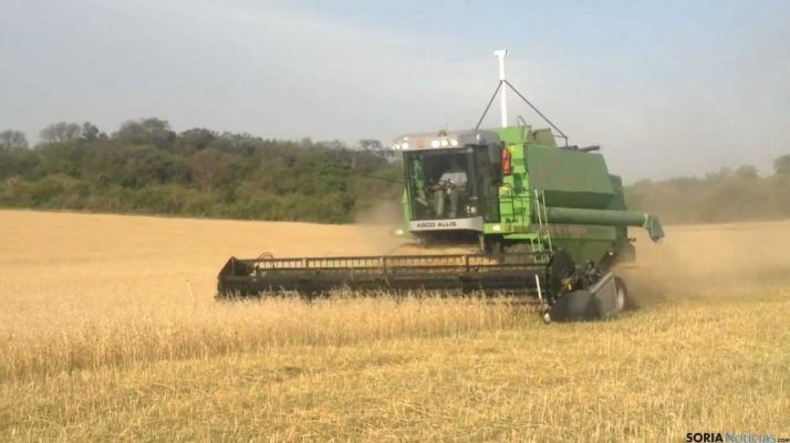 Los trabajos de cosecha requieren una especial atención estos días. /Archivo