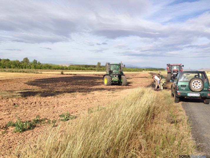 Imagen del área quemada. / SN