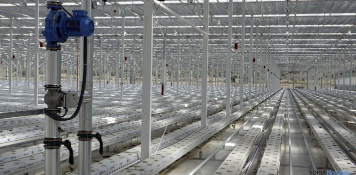 Instalación de la nueva empresa de flores. /SN