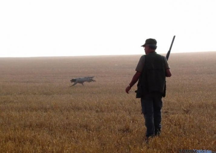 En Soria también se vieron pocas codornices en la apertura.