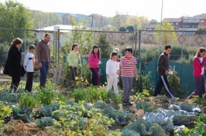 Huerto escolar en un centro de la Comunidad