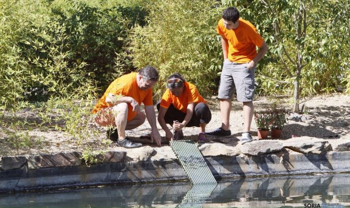 Voluntarios de medioambiente en una actividad. /Junta.