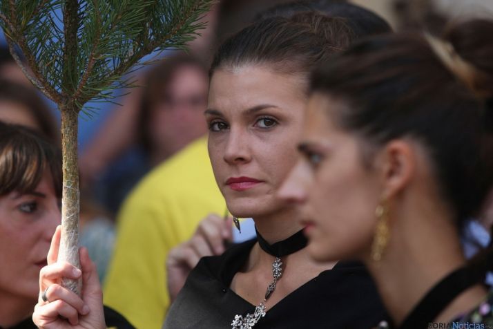 La Pinochada de Vinuesa (Soria).