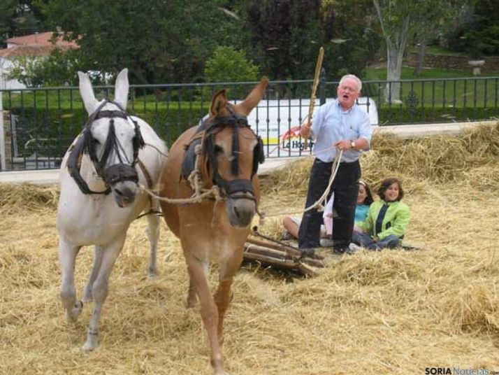 Actividad de la trilla.