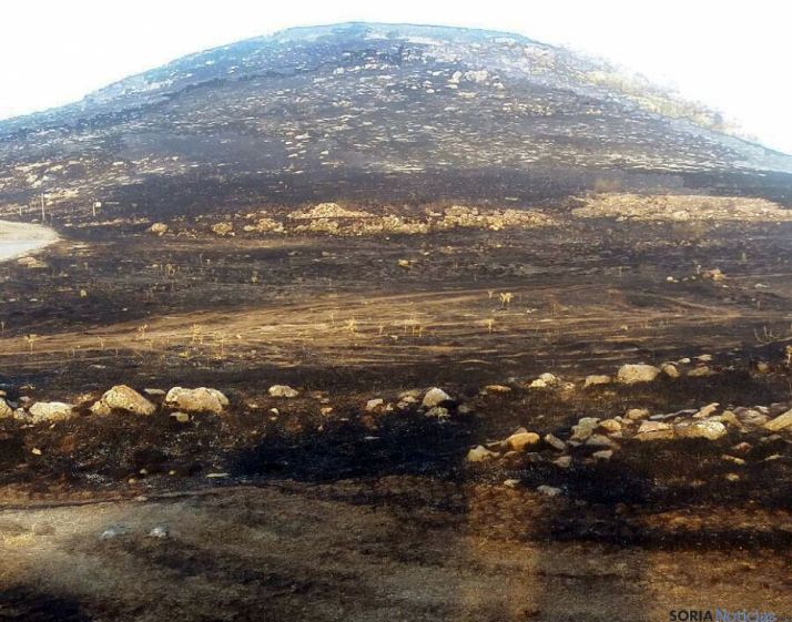 Área quemada en el mismo Moncayo./SN