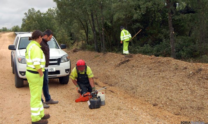 Una de las brigadas este miércoles. / Dip.