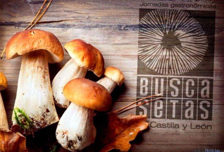 Nueva cita micológica para otoño.