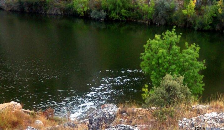 Vertidos presuntamente ilegales ayer domingo, según Asden. / Asden