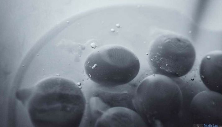 Interior Acuario exposición de Encarna Mozas y Tomás Sánchez en OnPhoto Soria.