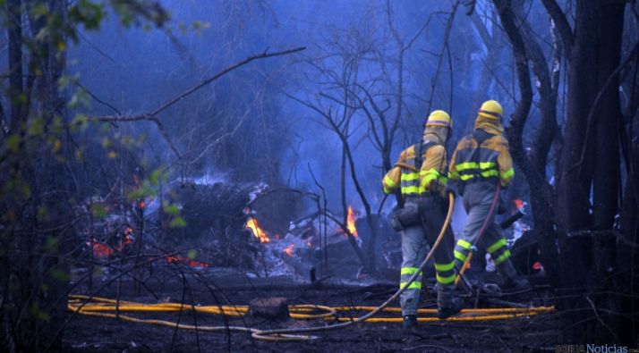 Personal anti incendios sofocando un fuego en la provincia de Soria. / SN