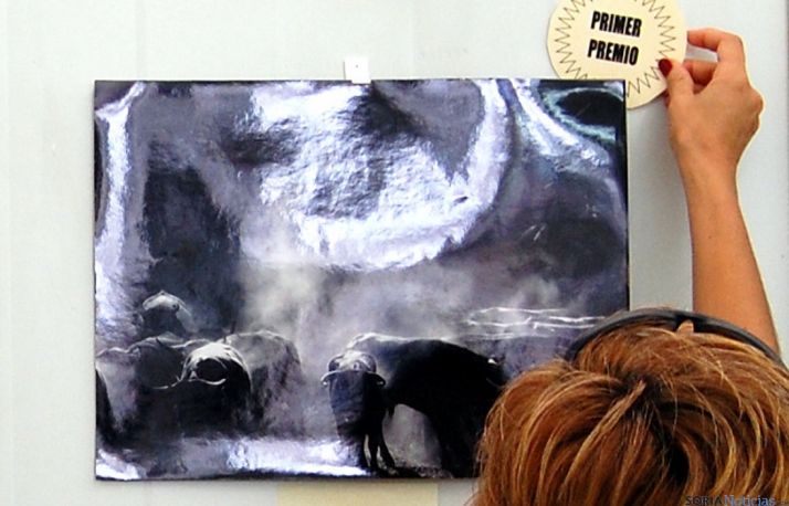 La imagen ganadora. / Ayto.