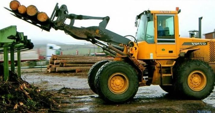 Feria Forestal Cabrejas