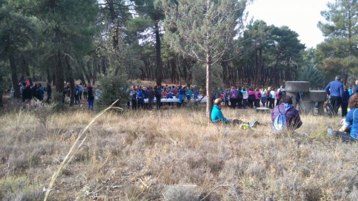Imagen de la marcha solidaria de Almazán.